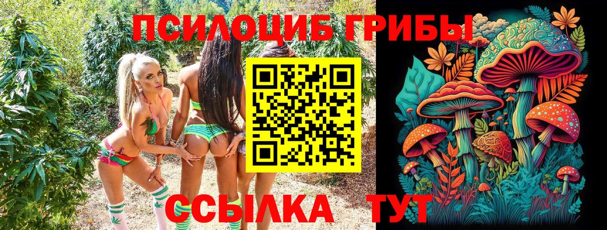 Галлюциногенные грибы мицелий  Вход с VPN  Вязьма 