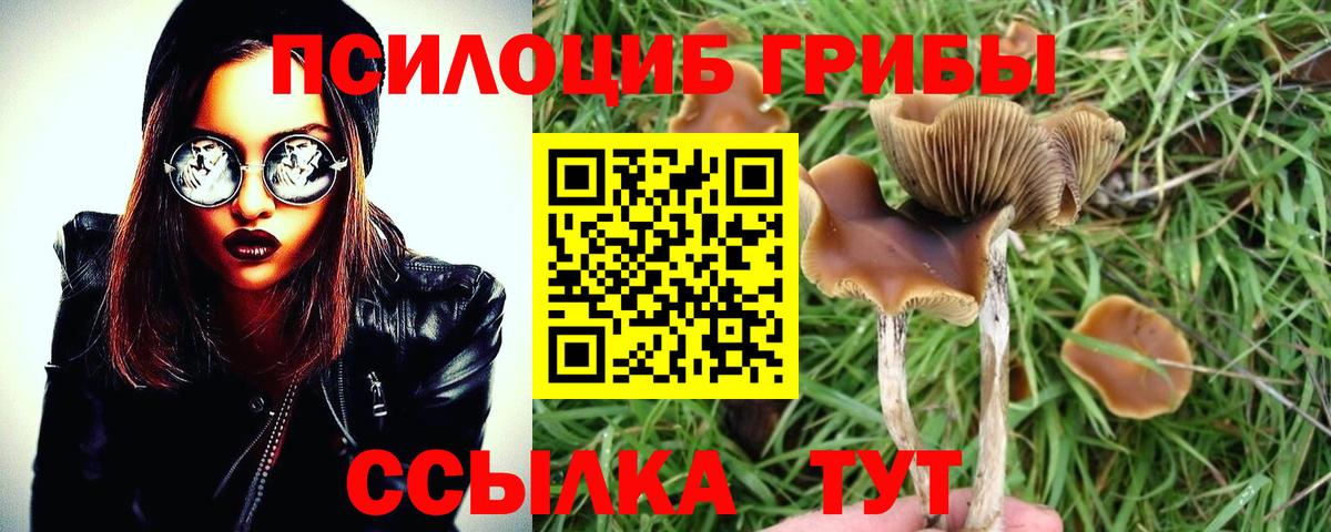 Псилоцибиновые грибы мухоморы Вязьма