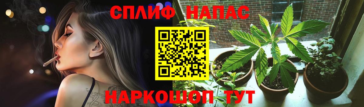 Бошки марихуана сатива Вязьма